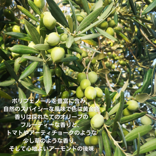 オイル - 東京銀座の会員制イタリア食材専門店 ヴェンティ ピノ（VENTI